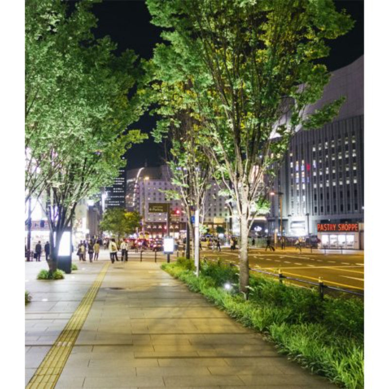 Hadco B9D LED 120V 10W To 34W Flex Scape