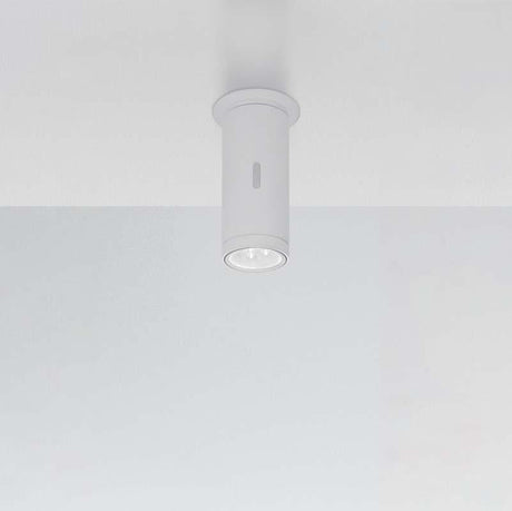 Artemide T419 Calumet LED Outdoor Ceiling Light - Seginus Lighting