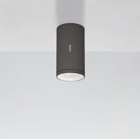 Artemide T419 Calumet LED Outdoor Ceiling Light - Seginus Lighting