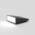 Artemide T08216W Cuneo 16W LED Outdoor Wall/Floor Light - Seginus Lighting