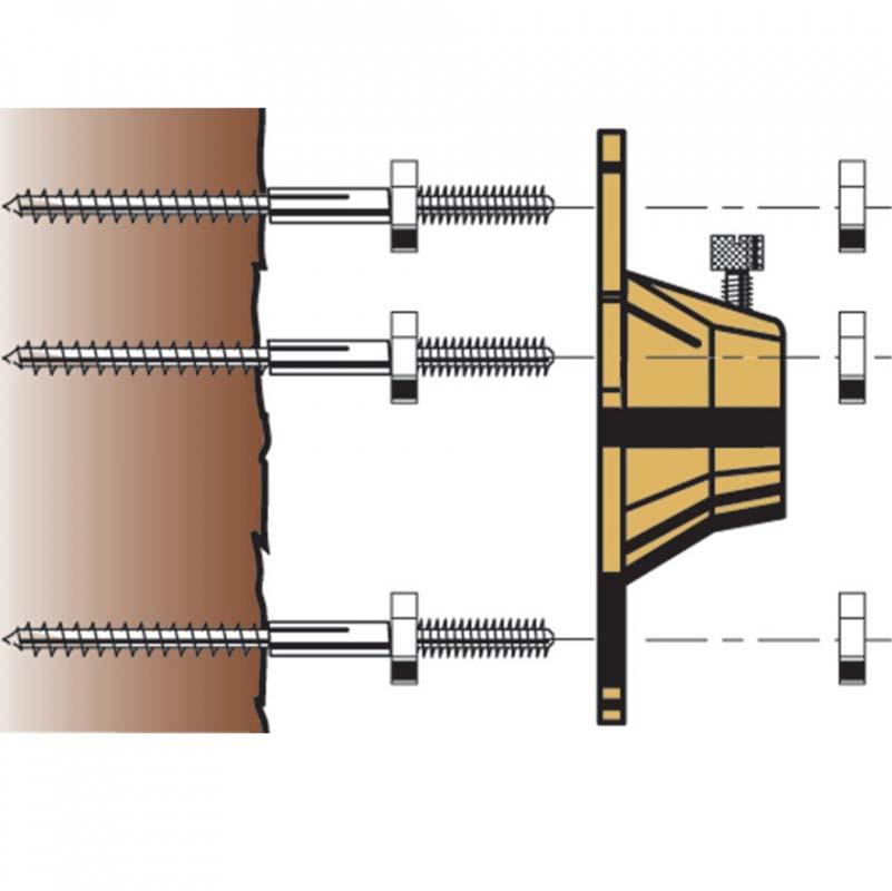 CTREEH1 Tree Mount Ss Hanger Bolts By Cast Lighting